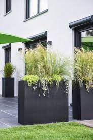 Pflanzkubel Als Sichtschutz Auf Terrasse Terrasse Pflanzen Gartengestaltung Ideen Pflanzkubel