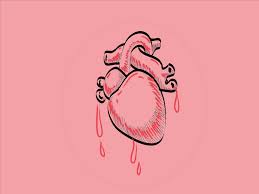 How To Draw A Human Heart Cartoon Heart Human Heart Heart Sketch