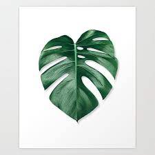 Monstera Monsteraleaf Leaf Monsteradeliciosa Botanictrend Botanicalart Art Poster Print Trend Palm Leaf Art Leaf Art Plant Painting