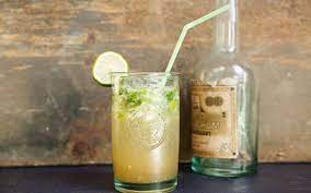 Cocktailzeit Klassischer Mojito Rezept Fur Den Thermomix Rezept Mojito Rezept Thermomix Rezepte Rezepte Thermomix