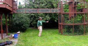 Pin Von Julia Benson Slaughter Auf Cats Aussengehege Fur Katzen Katzengehege Katzenkafig