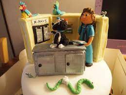 Veterinarian Cakes Via Tracey Davies Cakes Tartas Tortas Veterinaria
