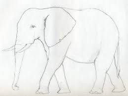 How To Draw An Elephant Elephant Sketch Elephant Drawing Watercolor Elephant