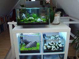 Image Result For Kallax As Fish Tank Stand Fish Tank Stand Betta Aquarium Fish Tank