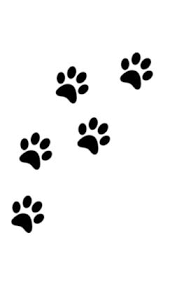 Dog Paw Print Writing Drawing Journal By Sir Michael Huhn Paperback Barnes Noble Don't worry about getting it perfect.
