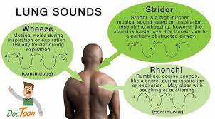 Doctoon Normal And Abnormal Lung Sounds On A Stethoscope Facebook