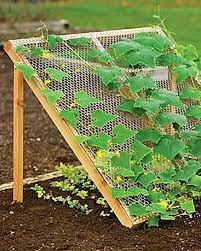 Klasse Idee Fur Den Gemusegarten Von Flowerpower Garten Ideen Pflanzen Vertikaler Gemusegarten