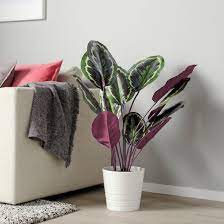 Fejka Artificial Potted Plant Indoor Outdoor Calathea Ikea Artificial Potted Plants Artificial Plants Plants
