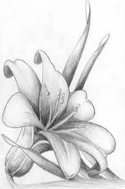 White Background How To Draw A Flower Easy Black And White Pencil Sketch Flower Sketches Flower Drawing Flower Sketch Pencil