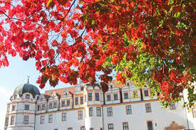 Celler Herzogschloss Schloss Altes Gebaude Burg