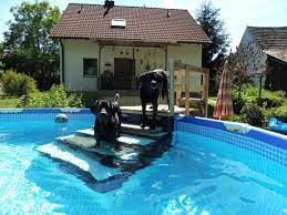 Pool Stairs Dog Ramp Pallets Diy Dog Stairs Dog Pool Pool Pool Steps Inground