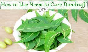 How To Use Neem To Cure Dandruff Mix neem powder with water, to make a thick paste to massage on to the scalp and hair for about 30 minutes.