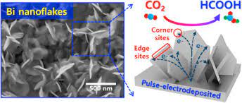 4€ offerts (cumulable avec les offres so shape). Shape Controlled Bismuth Nanoflakes As Highly Selective Catalysts For Electrochemical Carbon Dioxide Reduction To Formate Sciencedirect