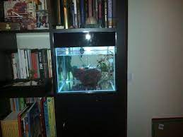 There S Something Fishy About This Expedit Ikea Hackers Ikea Hackers Ikea Glass Store