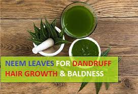 Neem Leaves And Powder For Dandruff Hair Growth And Baldness Neem oil is fantastic for dandruff, eczema and acne.