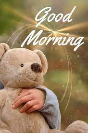 101 Cute Good Morning Teddy Bear Images Best Collection Teddy Bear Images Teddy Bear Wallpaper Bear Images