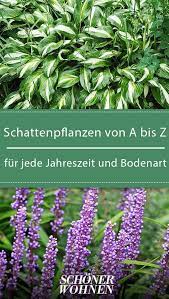 Schattenpflanzen Schattengewachse Von A Z Az Paletten Schattengewachse Schattenpflanzen Von Jacklyn In 2019 Shade Garden Garden Plants Pallets G