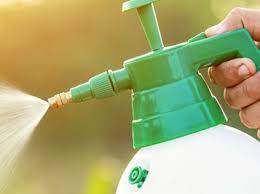 Grundstoffe Bei Schadorganismen In 2020 Gartengestaltung Ideen Gut Zu Wissen Pflanzenschutz