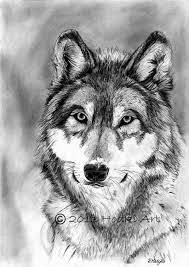 40 Realistic Animal Pencil Drawings Realistic Animal Drawings Pencil Drawings Of Animals Pencil Sketches Of Animals