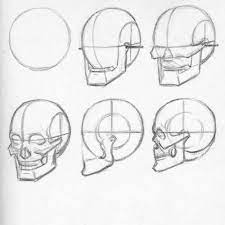 Human Skull Structure Andrewloomis Howtodraw How To Draw Art Sketch Lesson Tutorial Draw D Easy Skull Drawings Skulls Drawing Human Skull Anatomy