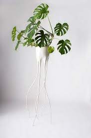 Monstera Plant Pot By Tim Van De Weerd Gessato Plant Pot Design Pot Designs Plants