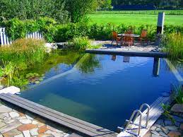 Wie Viel Darf Ein Schwimmteich Kosten Gartenhaus Steg Waskostet Gartenteich Teich Bauen Garden Swimming Pool Natural Swimming Pools Swimming Pool Lights