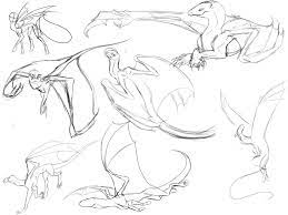 Free Dragon Poses Bases By Shadow Crystol Dragon Poses Dragon Sketch Dragon Drawing