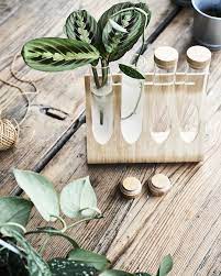Ikea Australia Affordable Swedish Home Furniture Propagating Plants Artificial Plants Ikea Plants