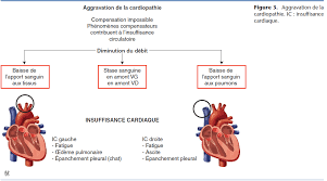 Heureusement, il existe aujourd'hui des traitements contre l'insuffisance cardiaque du chien, qui peuvent prolonger son espérance de vie de manière durable. Traitement De L Insuffisance Cardiaque Principales Classes Therapeutiques Centre Hospitalier Clinique Veterinaire Cordeliers A Meaux 77