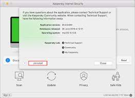 How To Uninstall Kaspersky Internet Security 20 For Mac