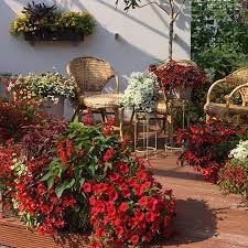 Bluhpflanzen Fur Den Balkon In Rot Pflanzen Sommerpflanzen Pflanzideen