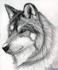Easy Drawing Of Wolves In Pencil Painting Art Lesson Art Inspiration Drawing Realistic Drawings
