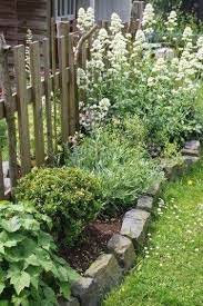 Im Garten Kann Man Den Pflanzen Beim Wuchern Wachsen Zusehen Im Letzten Jahr Hatte Ich Am Zaun Vom G Rtchen Ein Cottage Garden Garden Design Outdoor Gardens