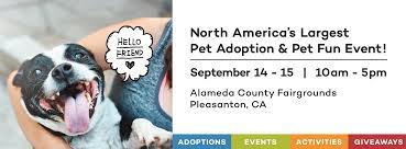> community events for sale gigs housing jobs resumes services. Bay Area Pet Fair