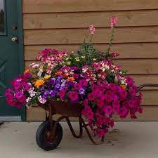Pin By Linda Sprenger On Pflanzen Blumenwelt Garten Garden Containers Garden Projects Flower Pots