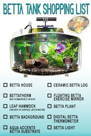 Know What You Need In Your Tank To Keep Your Betta Fish Happy And Healthy Decorate Your Tank With Style While Also Providing Betta Fish Betta Fish Bowl Betta