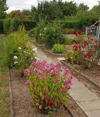 Garten Kleingarten Parzelle Greifswald Sommer Gartenliebe Gartengluck Gartenideen Gartengestaltung Blumen Blumenlie Gartenarbeit Garten Ideen Garten