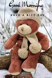 101 Cute Good Morning Teddy Bear Images Best Collection Teddy Bear Day Teddy Day Teddy Bear Pictures