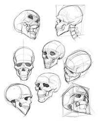 Tb Tb Choi Skulls Drawing Skull Drawing Anatomy Art