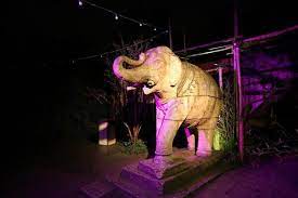 Beleuchtung Fur Den Franzosischen Garten In Celle Franzosischer Garten Zoo Elefanten