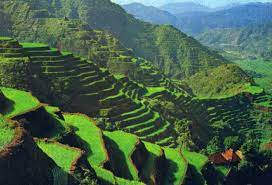 Philippines Places Http Terre Sans Frontiere Free Fr Page A Voir A Faire A Voir A Faire Banaue Banaue Rice Terraces Beautiful Places To Visit