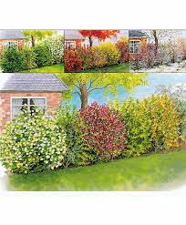 Vier Jahreszeiten Hecke Baume Straucher Garten Hecken Garten Straucher Garten