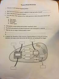 Solved Photosynthesis Worksheet 1 Write The Overall Reac Chegg Com