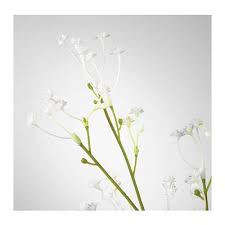 Smycka Kunstblume Schleierkraut Weiss Ikea Deutschland Kunstblume Schleierkraut Blumen