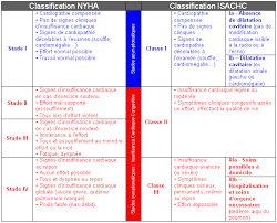 Aussi connu sous le nom actuellement, il n'existe pas de remède à l'insuffisance cardiaque. Insuffisance Cardiaque Chez L Humain Wikipedia