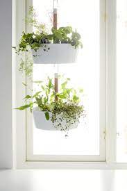Bittergurka Ampel Weiss Ikea Deutschland Hangender Garten Ikea Pflanzen Pflanzen