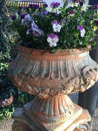 Garten Amphore Stiefmutterchen Jardinagem Cultivo Paisagismo