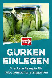 Gurken Einlegen 3 Leckere Rezepte Fur Selbstgemachte Essiggurken Utopia De Gurken Einlegen Rezept Lecker Gewurzgurken