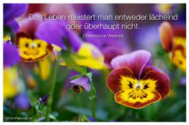 Das Leben Meistert Man Entweder Lachelnd Oder Uberhaupt Nicht China Weisheiten Lebensweisheiten Lebensweisheiten Zitate