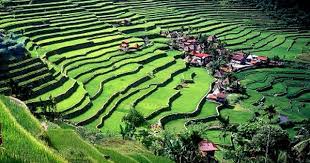 April 9 The Day Of Valor In The Philippines Philippines Travel Philippines Culture Visit Philippines
